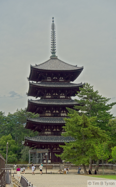 _A743408.jpg